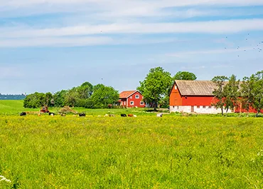 Search for Farms For Sale